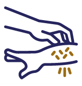 Psoriasis